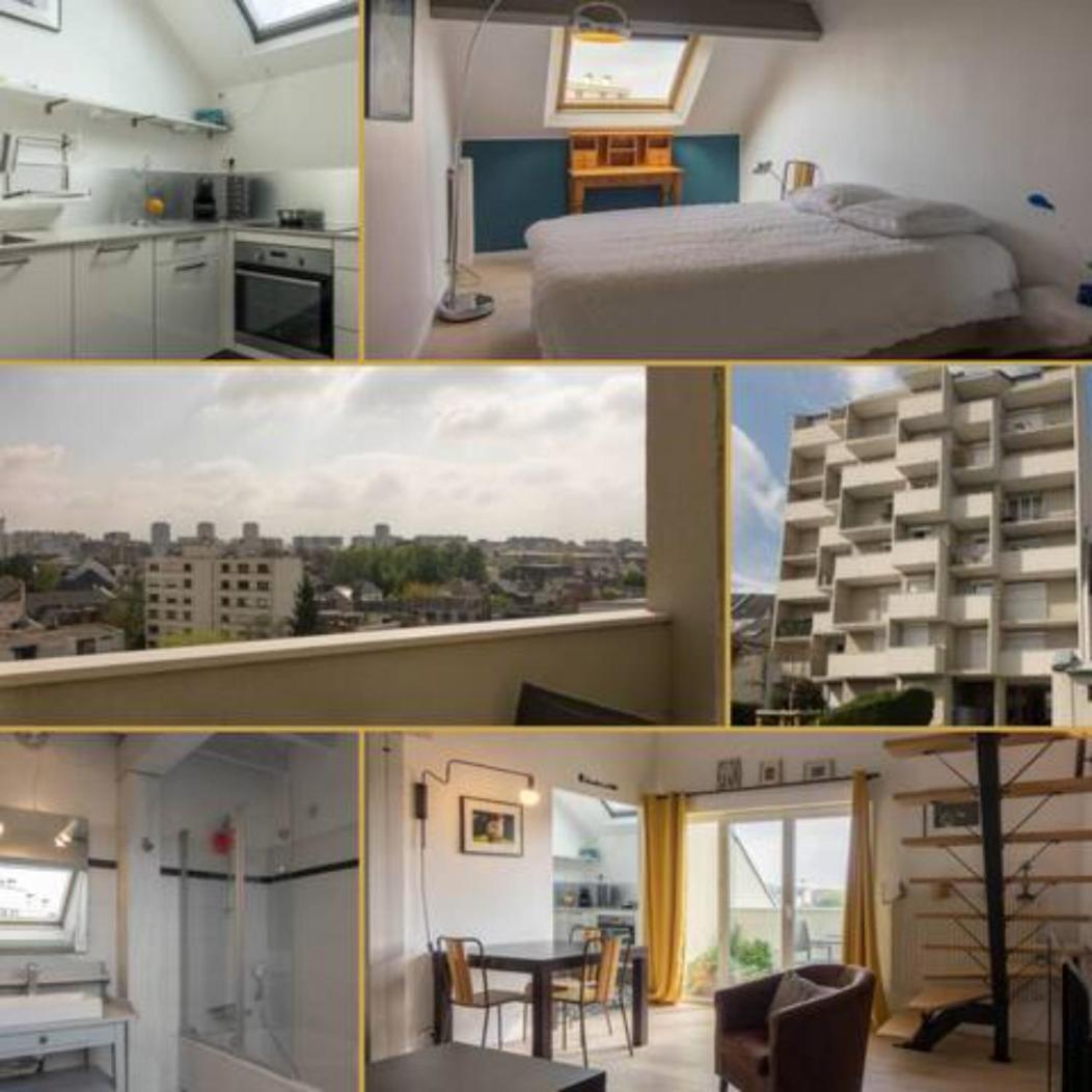 Le Duplex Ensoleille Du Parc * Parking * Balcon * Apartment Orléans Exterior photo